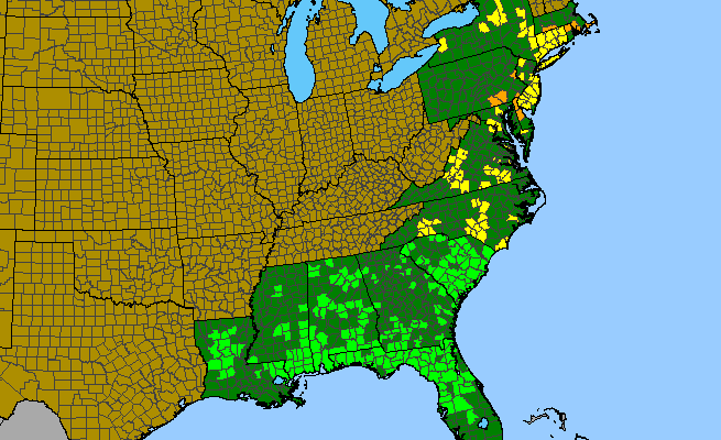 The range of Lithospermum virginianum